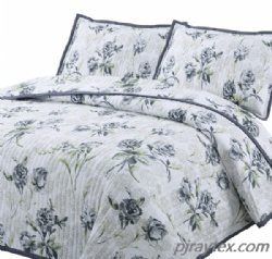 Printed Quilt Coverlet Set Twin Size 68x86 with 1 Sham Lightweight